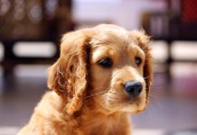 Завершён первый год магистратуры по технологии производства шин в Вятском университете