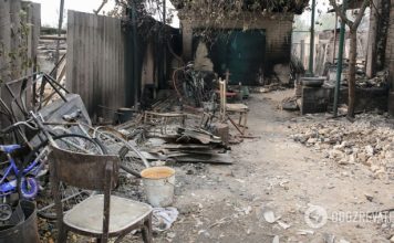 Олена Степова: »Республиканский» позор, или Россия нам даст