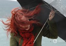 В Украину идет похолодание: синоптик предупредила о сильном ветре. Карта