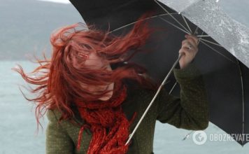 В Украину идет похолодание: синоптик предупредила о сильном ветре. Карта
