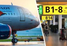 Аэрофлоту отдали рейсы в Германию из Санкт-Петербурга: названы города прилета