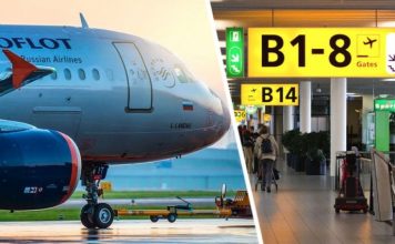 Аэрофлоту отдали рейсы в Германию из Санкт-Петербурга: названы города прилета