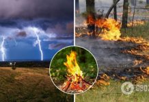 В ряде областей Украины объявили высокую пожарную опасность. Прогноз погоды и карта