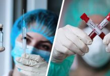 Группа из 30 привитых туристов заразилась коронавирусом в популярной стране