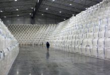 Правительство включило сахар в список сельхозпродукции для госинтервенций