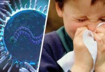 Для туризма прозвучал тревожный сигнал: новый вирус начал атаковать детей