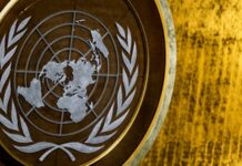 ОЗХО «отрабатывает политический заказ»