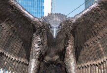 США извинились за «ужасную ошибку», совершенную в Кабуле