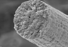 Станет ли одежда из мышечных волокон в ближайшем будущем прочнее кевлара?