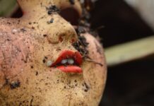 В США педофила приговорили к 27 годам лишения свободы