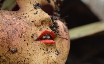 В США педофила приговорили к 27 годам лишения свободы