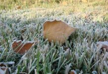 В Украине сильно похолодает: когда и в каких областях