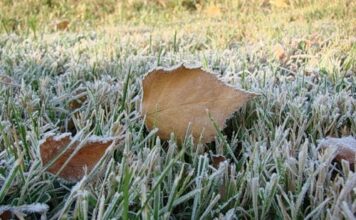 В Украине сильно похолодает: когда и в каких областях
