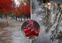 В Украину придет похолодание, дожди и грозы накроют все регионы: прогноз погоды на выходные. Карта