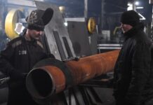 Власти спрогнозировали доход в ₽16 млрд от привлечения осужденных к труду