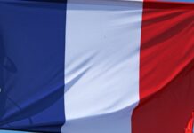 Во Франции предложили заменить памятник Наполеону статуей феминистки