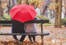 Больше 20 тепла и ночные заморозки: синоптики дали прогноз погоды на понедельник