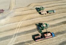 Минсельхоз объяснил предложение про передачу земли узбекским фермерам