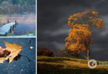 Туман и сильные дожди: синоптики предупредили об ухудшении погоды в Украине. Карта