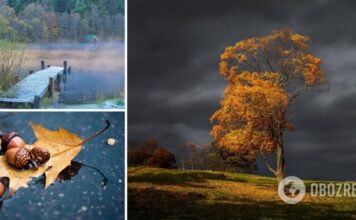 Туман и сильные дожди: синоптики предупредили об ухудшении погоды в Украине. Карта