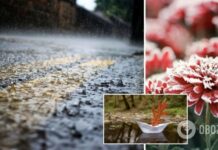 В Украине похолодает, часть страны накроют дожди: синоптики дали прогноз на начало недели