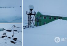 »К празднику Николая»: на станции »Академик Вернадский» зафиксировали рекордный уровень снега. Фото