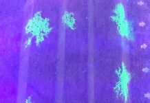 Маска-фильтр, светящаяся под ультрафиолетовым светом при воздействии коронавируса