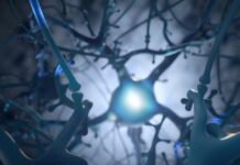 Neuralink: первые чипы скоро будут имплантированы людям