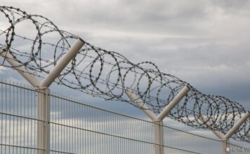 После Майдана число нелегальных украинцев за рубежом выросло в пять раз