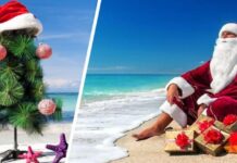 Россияне бросились скупать туры на Новый год: спрос вырос в 4 раза по сравнению с годом ранее