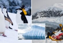 Ученые заявили, что в течение десяти лет шельфовый ледник Антарктики может треснуть: чем это грозит