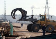 ЕС оспорил в ВТО российские ограничения на экспорт древесины