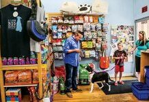 Франшиза зоомагазина: преимущества, этапы приобретения