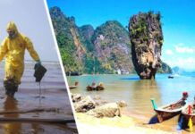 На популярный туристический остров Таиланда надвигается угроза