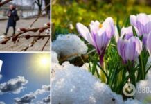 Появился детальный прогноз погоды на март, апрель и май в Украине