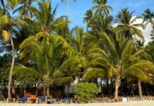 В Португалии начата проверка о предоставлении гражданства Роману Абрамовичу