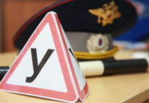 Таурус: возможность обучения вождению быстро и эффективно