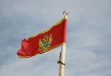 Дело Исмаилова: в Россию запрещен въезд госсекретарю МВД Черногории