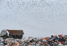 Самой быстрорастущей отраслью 2021 года в России стала мусорная