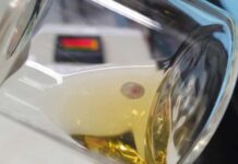 В Китае разработана система выращивания эмбрионов под контролем искусственного интеллекта