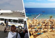 Для россиян появился новый авиамаршрут из Москвы до Шарм-эль-Шейха