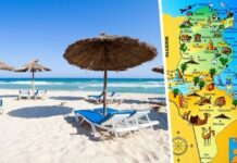 В Тунисе поняли, что никаких российских туристов больше не будет