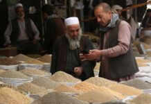 Аналитики Coldiretti сообщили о снижении цен на пшеницу после слов Путина