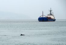 Reuters назвал нового главного перестраховщика танкеров из России