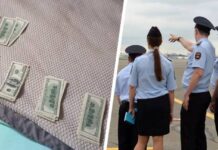 Рейс Анталия-Москва закончился скандалом: в воровстве денег обвинили стюардессу, ей не удалось скрыться от полиции