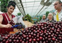 Турция резко увеличила экспорт в Россию на фоне санкций