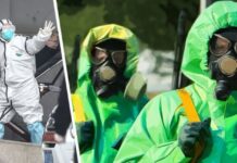 Для туризма прозвучал новый тревожный сигнал: началось распространение опасного генипавируса