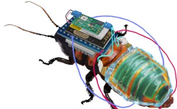 Дистанционно управляемые тараканы-киборги с самозаряжающимися батареями