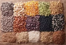 Семена овощей: выбираем и взращиваем плодоносные культуры