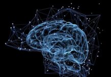 ИИ от Meta может анализировать ваши мозговые волны и «читать» то, что вы слышите